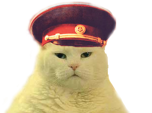 186-cat-D.png